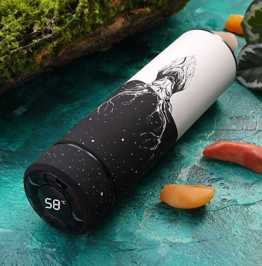 Smart LED Temperature Display Insulated Water Bottle