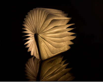 Decorative Book Lamp