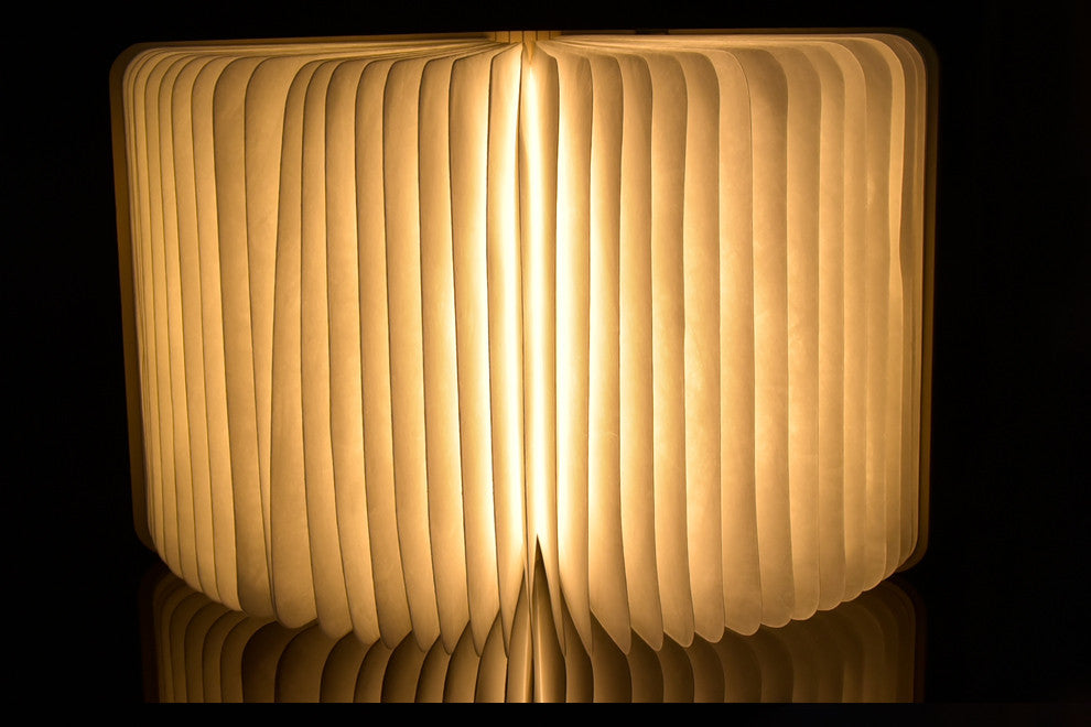 Decorative Book Lamp