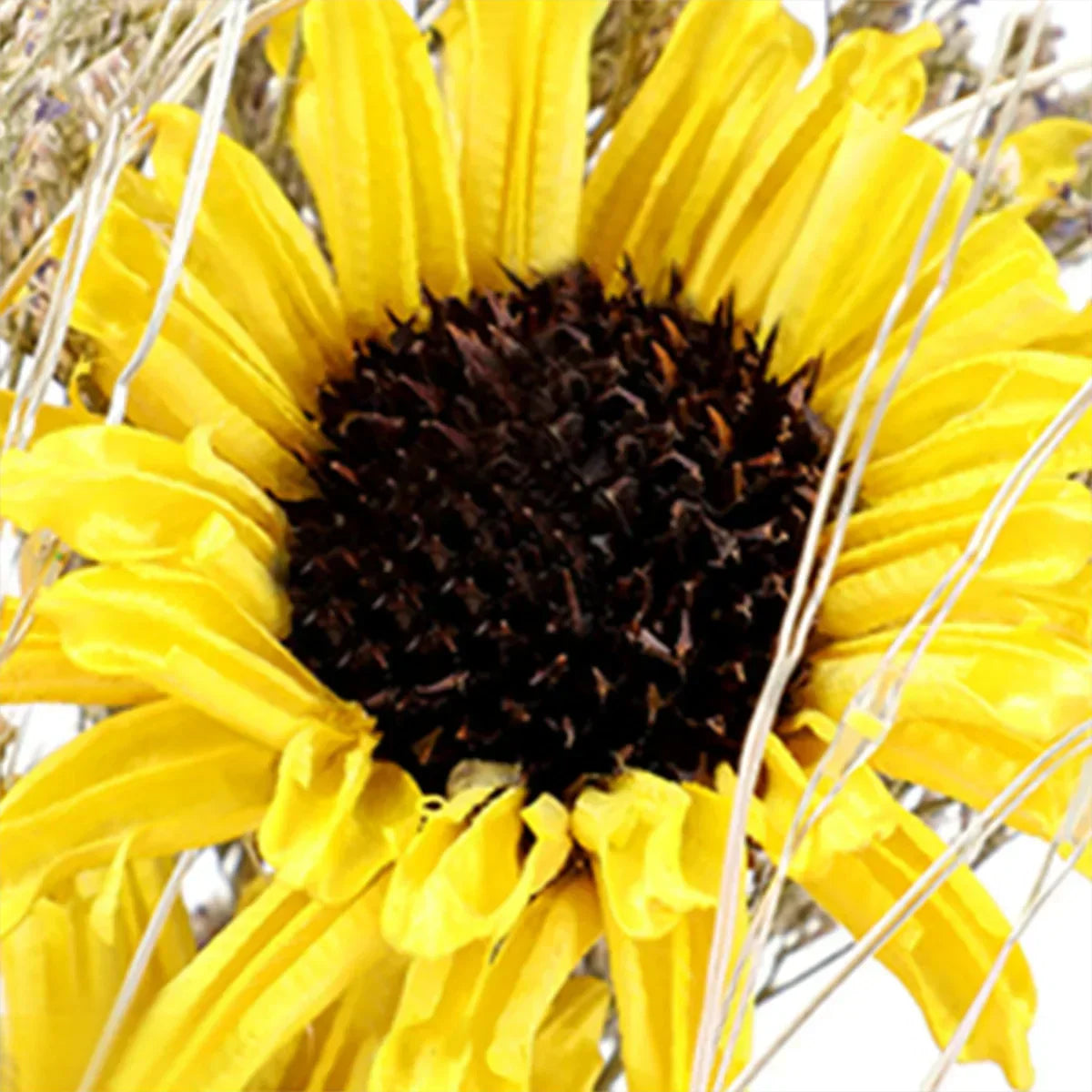 Sunflower Glass Dome Lamp