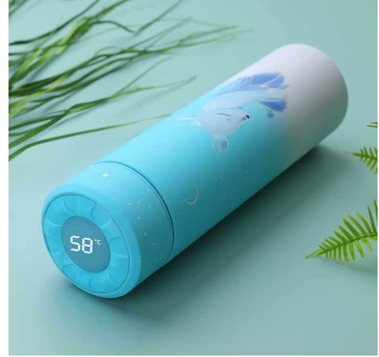 Smart LED Temperature Display Insulated Water Bottle