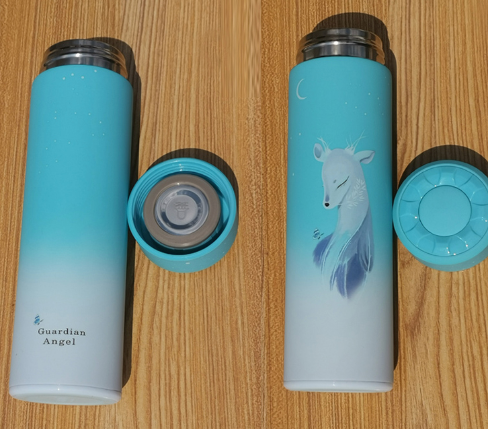 Smart LED Temperature Display Insulated Water Bottle
