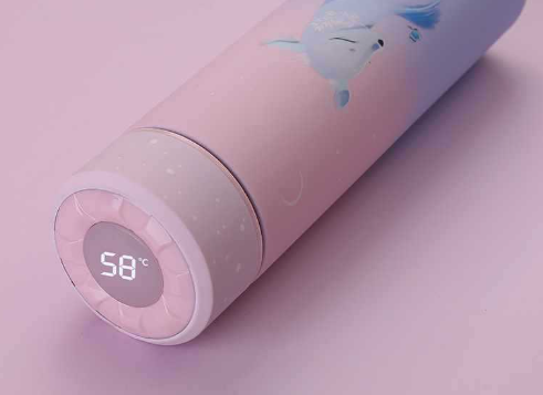 Smart LED Temperature Display Insulated Water Bottle