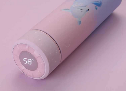 Smart LED Temperature Display Insulated Water Bottle